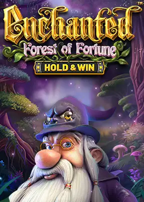 Enchanted: Forest of Fortune
